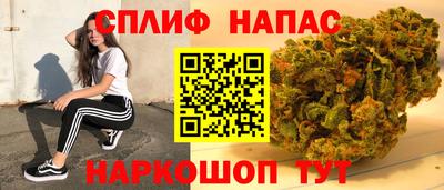 Альфа ПВП Вышний Волочёк