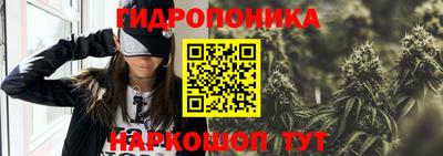 Альфа ПВП Вышний Волочёк