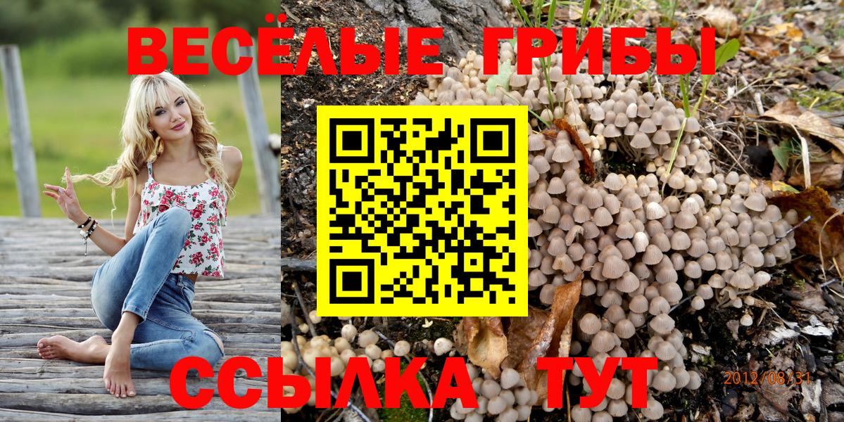 Псилоцибиновые грибы мицелий Армавир