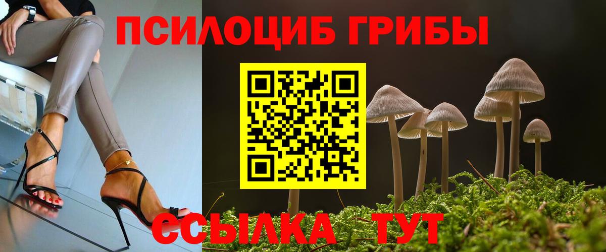 закладка  Галлюциногенные грибы Psilocybine cubensis  Вход с VPN  Армавир  Галлюциногенные грибы Cubensis 